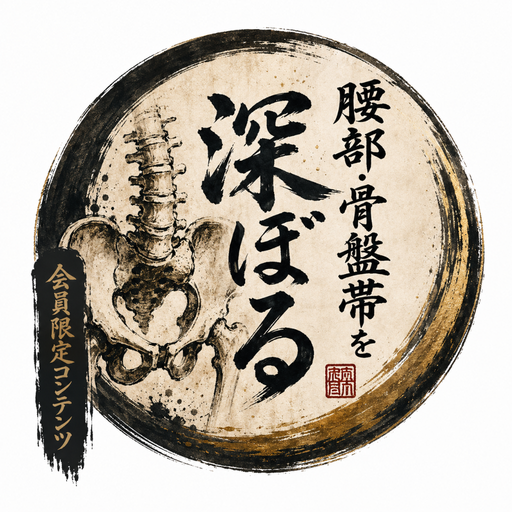 腰部・骨盤帯を深ぼる
