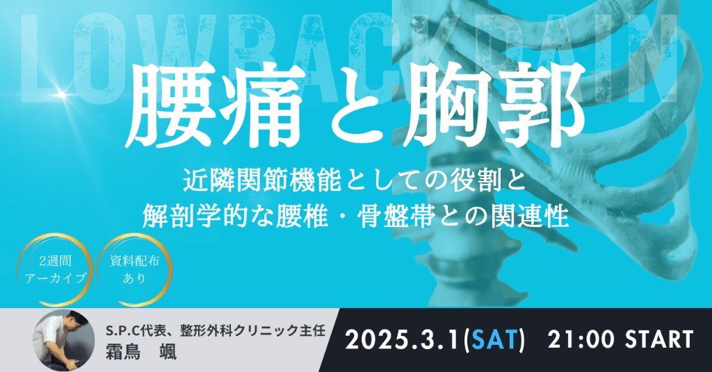 腰痛と胸郭セミナー